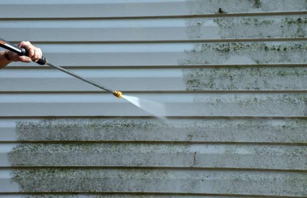 Best Fence Pressure Washing  in Thorndale, TX