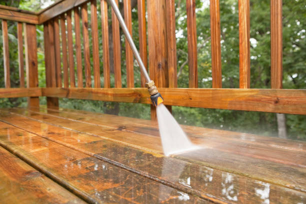Best Residential Pressure Washing Services  in Thorndale, TX