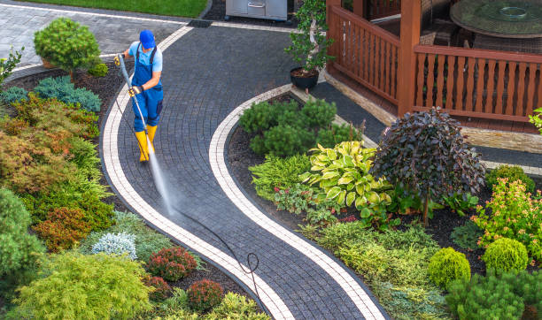 Best Residential Pressure Washing Services  in Thorndale, TX